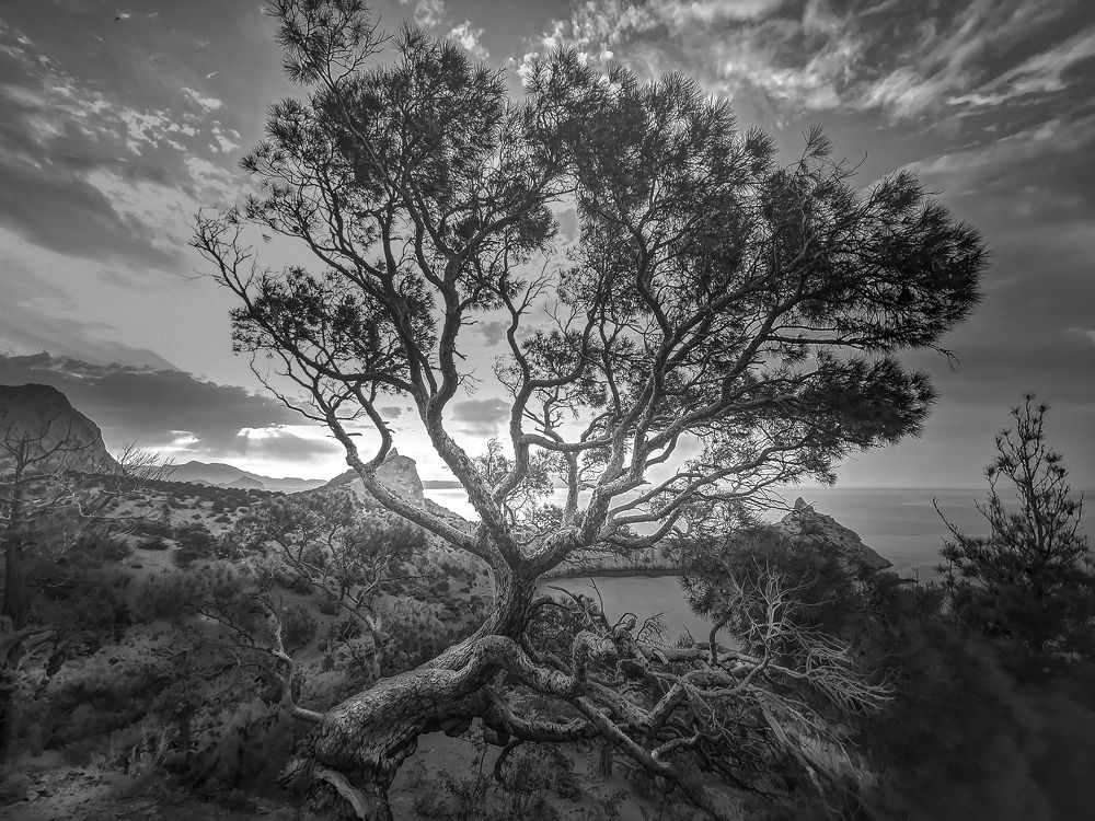 Photograph by Разумов Александр