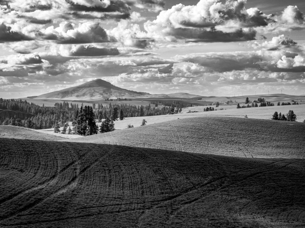 Photograph by Annette Taberner-Miller