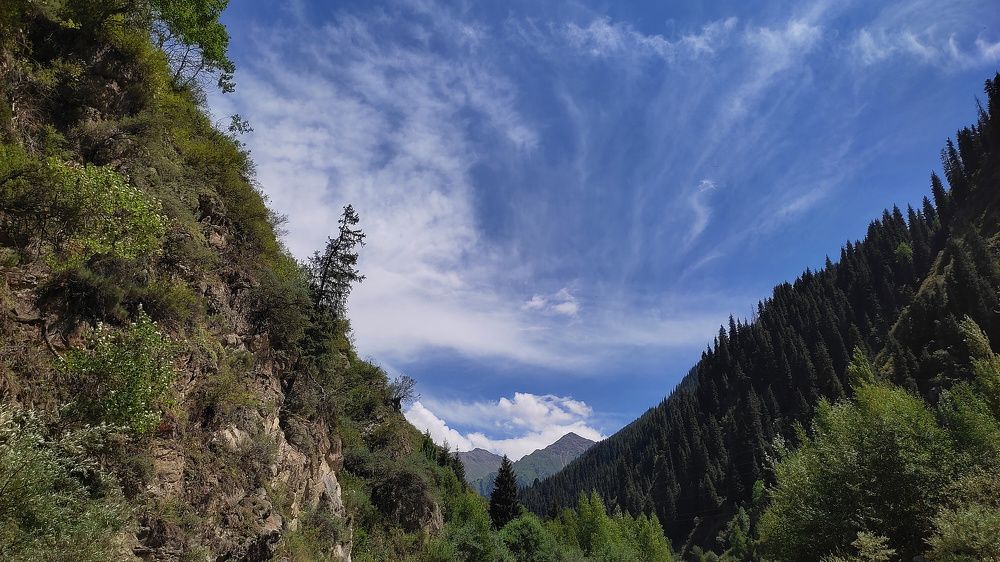 Photograph by Farkhad