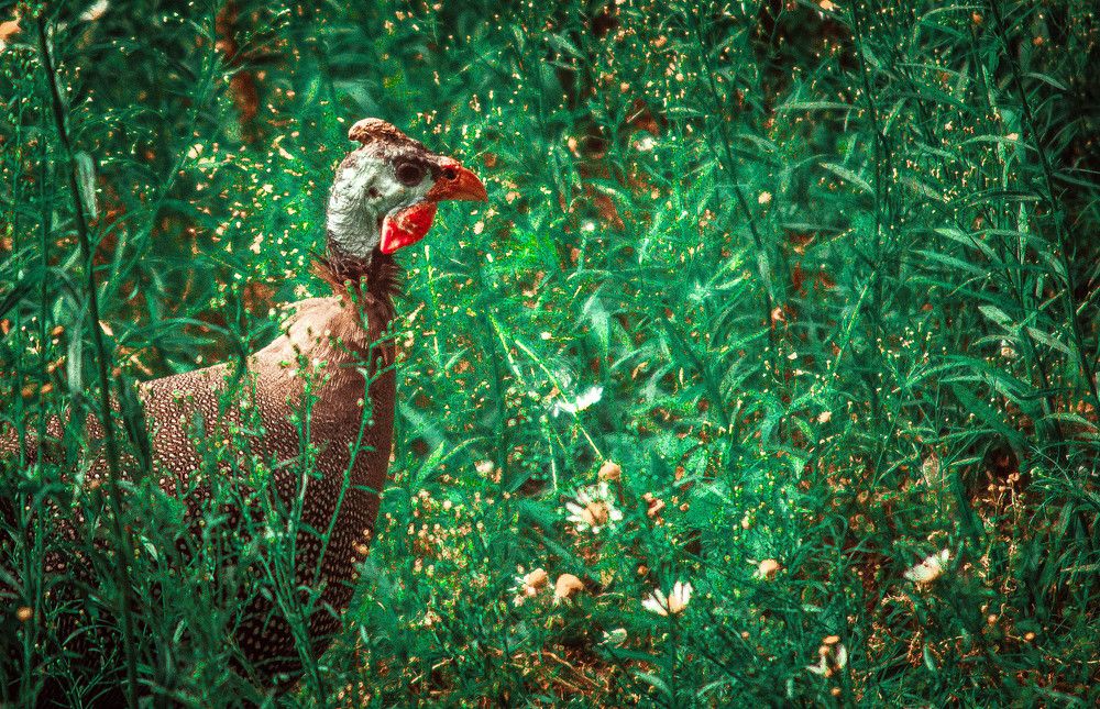 Photograph by Александр Раков