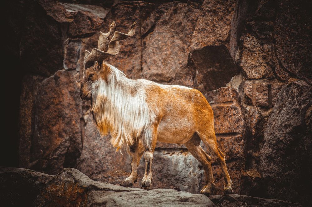 Photograph by Александр Раков