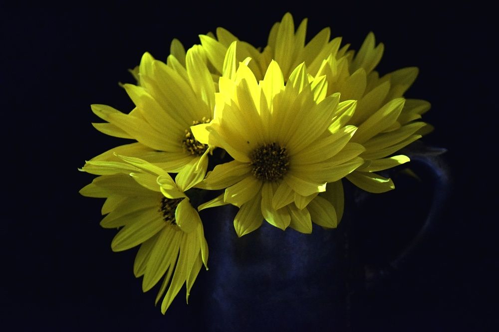 Photograph by Beatriz Games