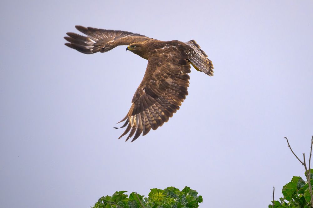 Photograph by Arie Burla