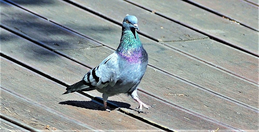 Photograph by Yrii Usoltsev