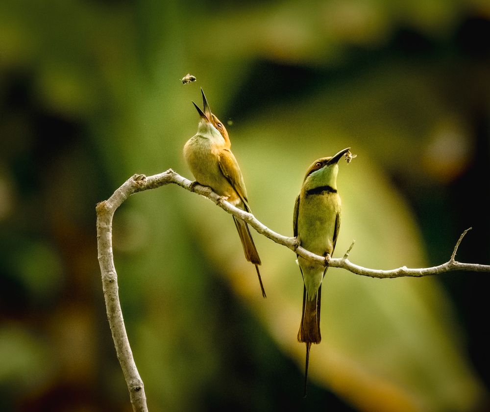 Photograph by Lê Huy Anh