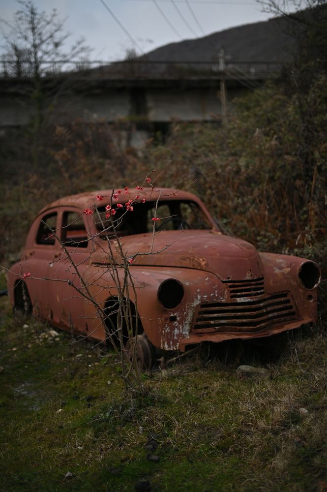 Photograph by Ленария Асянова