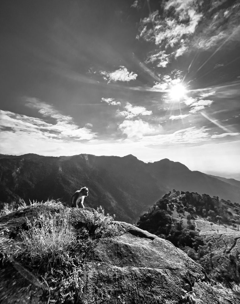 Photograph by Indhirajith G