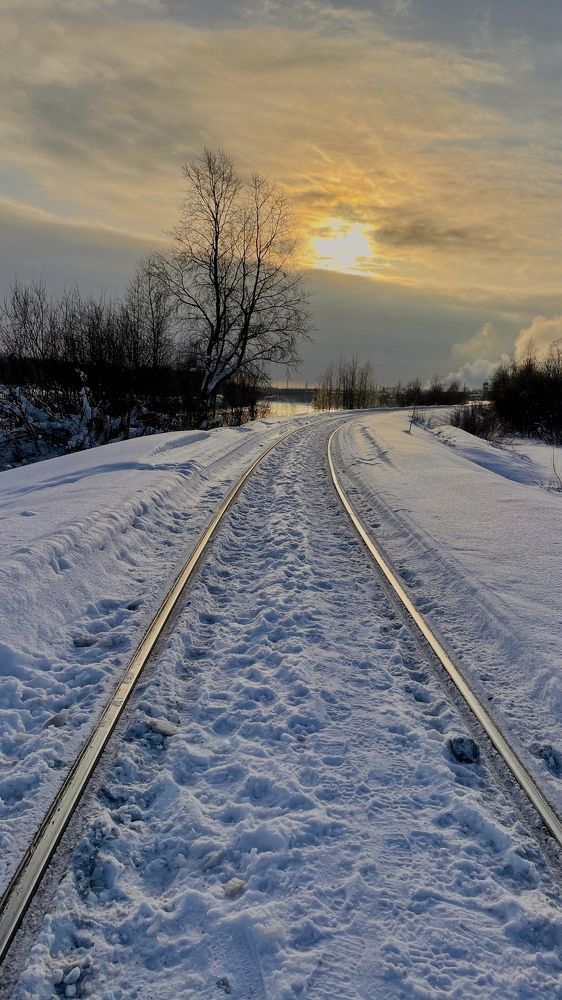 Photograph by Alina Andreevna