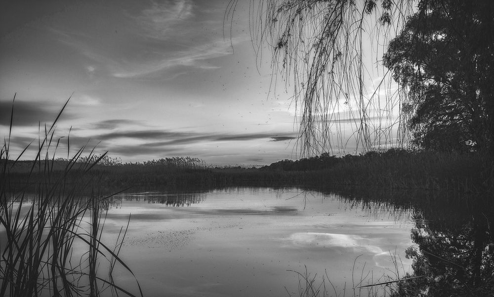 Photograph by Сергей Епишев