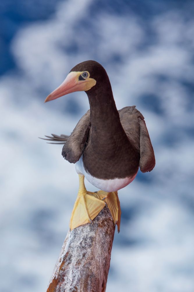 Photograph by Валерий