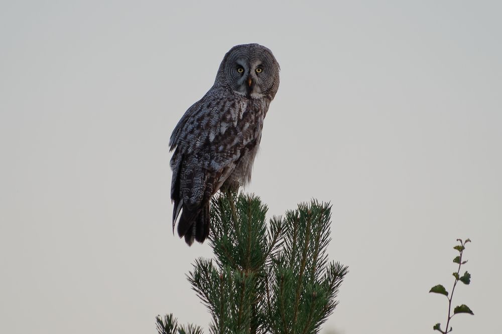 Photograph by Александра Пилипенко
