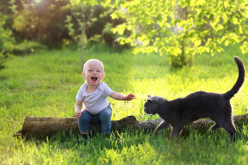 Photograph by Попова Светлана