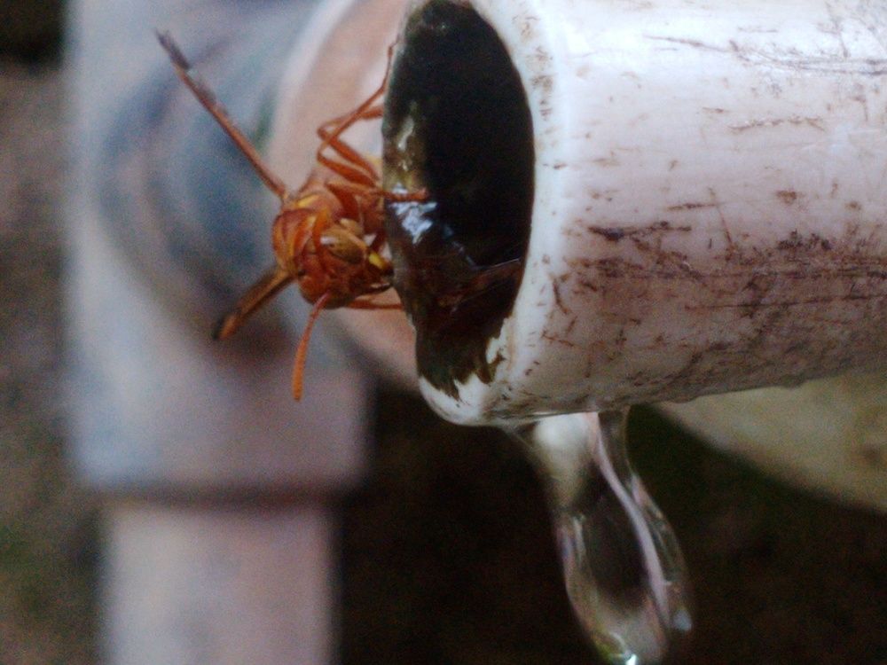 Water for Life!