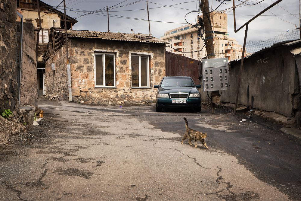 Photograph by Владислав Михайлов