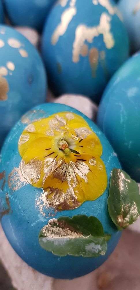 Фотография автора Ольга Мусина