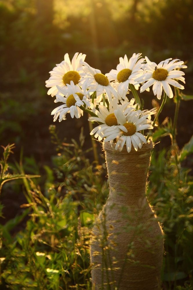 Photograph by Гульжан Шарипова