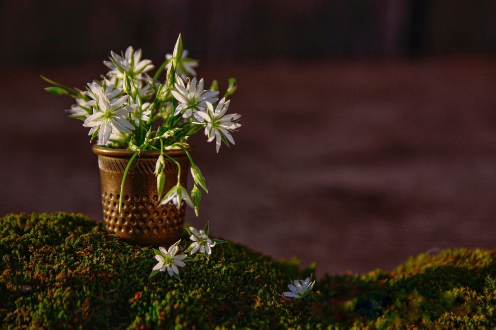 Photograph by Гульжан Шарипова