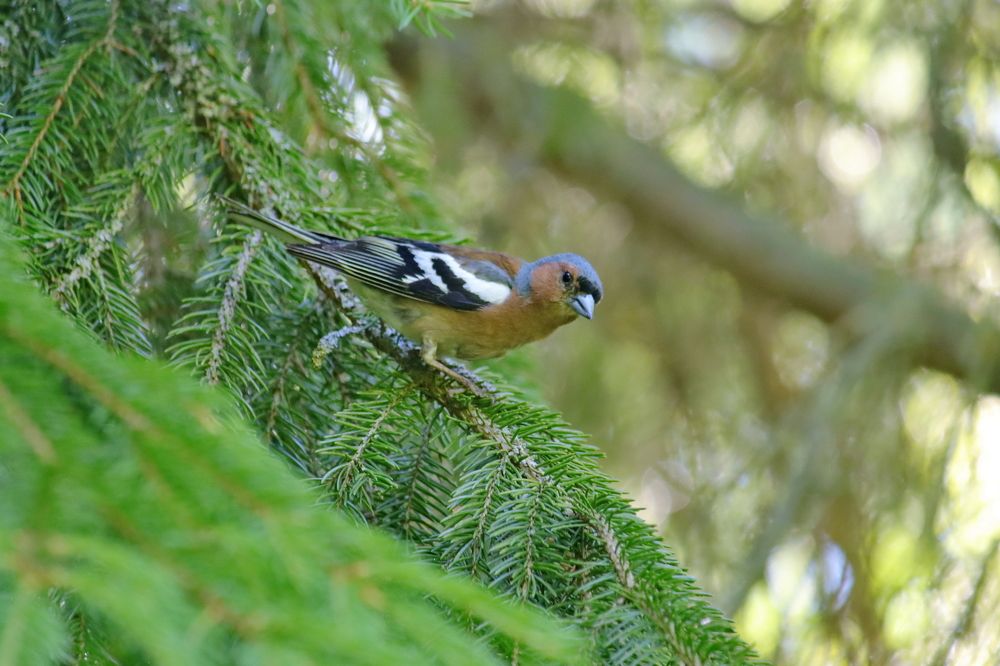 Photograph by Владимир Крылов