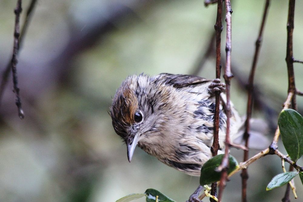 Photograph by Nadzeya