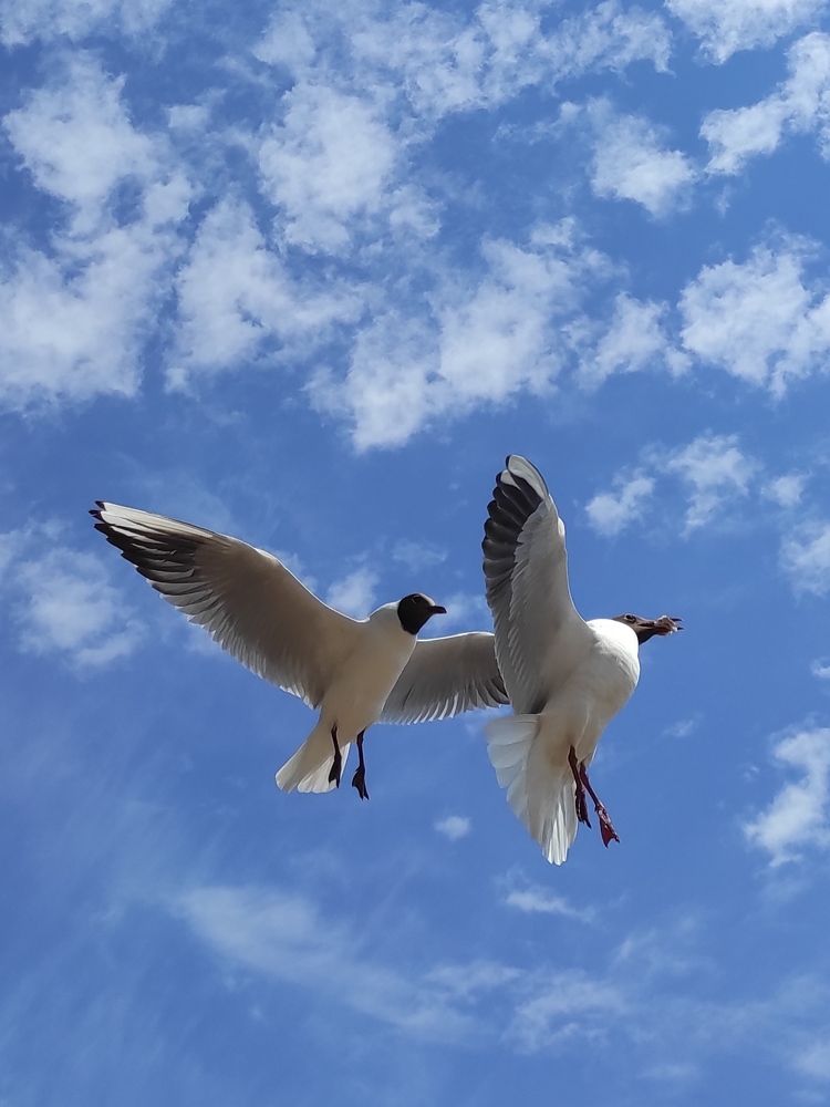 Photograph by Марина Хохрякова