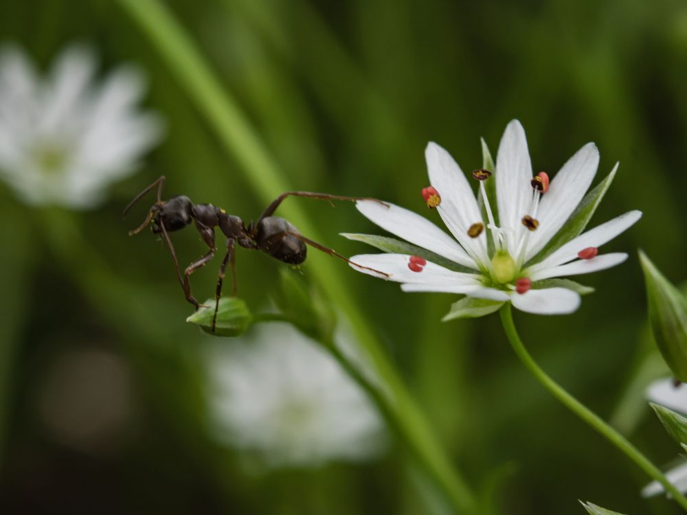Фотография автора Aleksandr Kadyshev