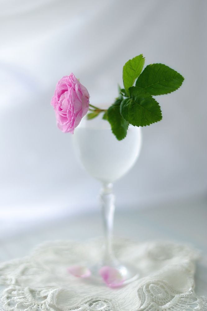 Photograph by Владимир Щеголев