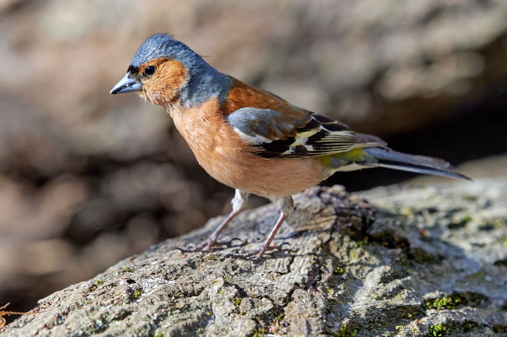 Photograph by Фатыхов Динар