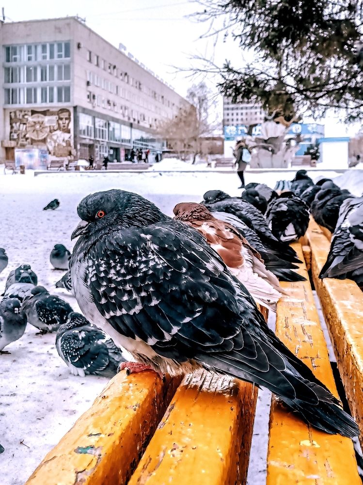 Фотография автора Марина