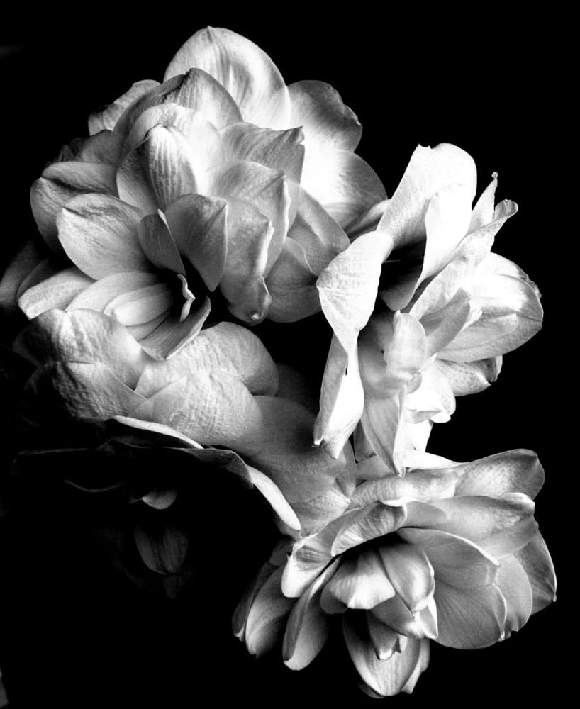 Photograph by Elizma Boonzaaier