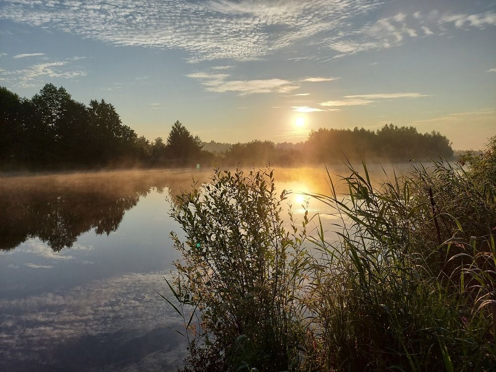 Photo #7766547