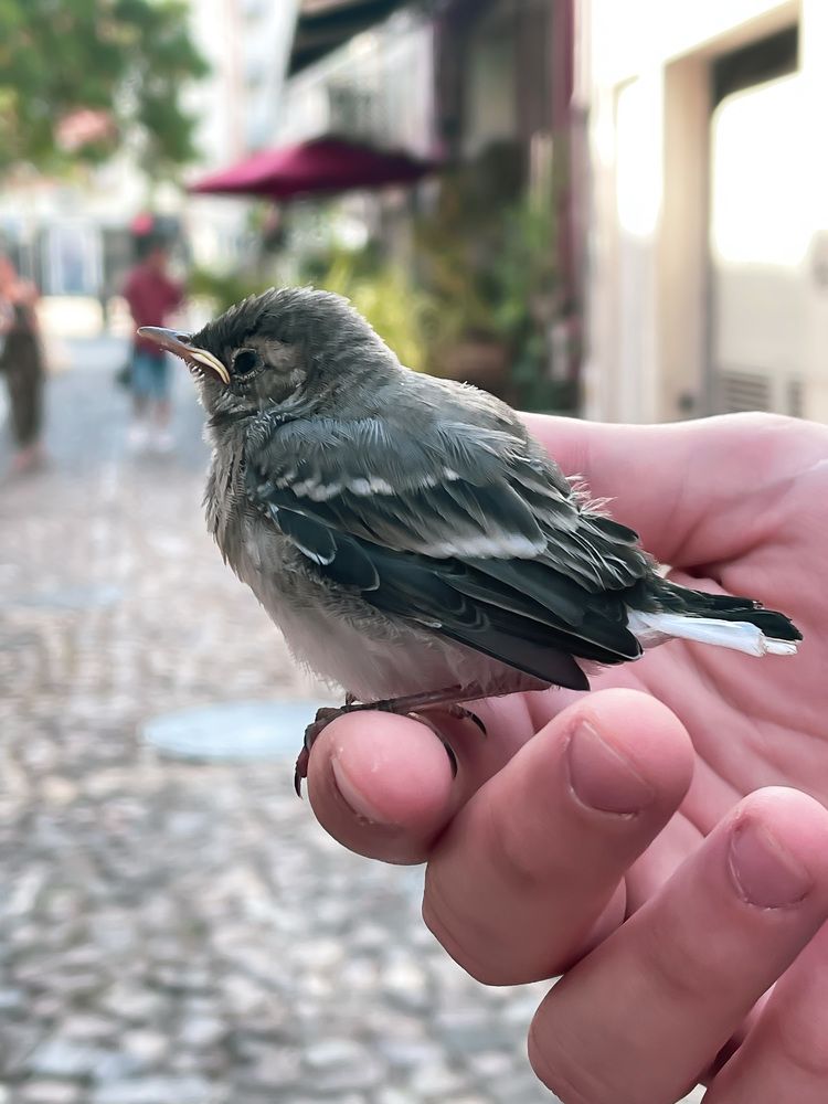 Photograph by Lucia Correia