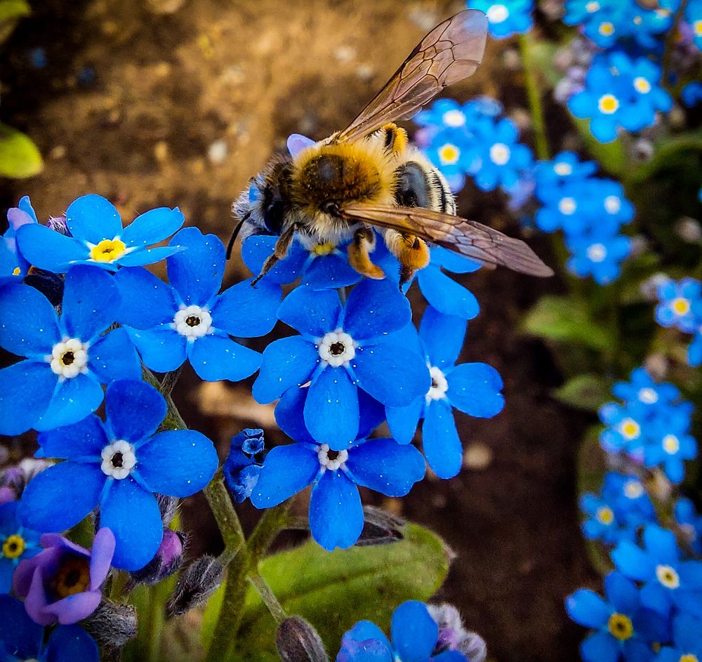 Photograph by Diana-Alexandra Amărinei