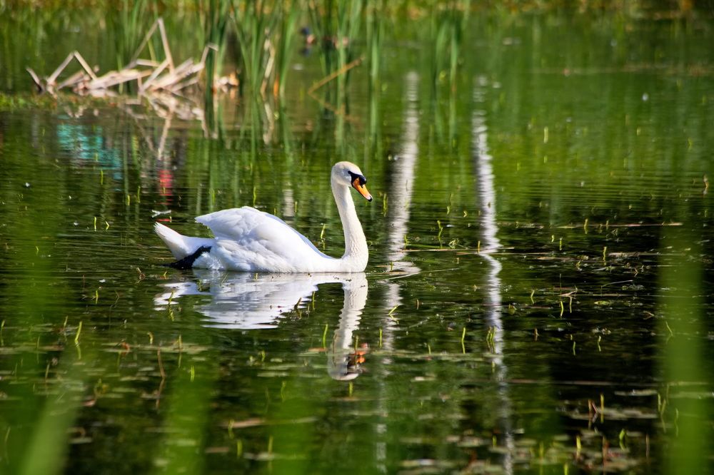 Photograph by Геннадий Лосев