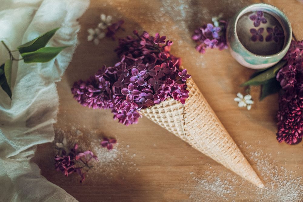 Photograph by Екатерина Реунова