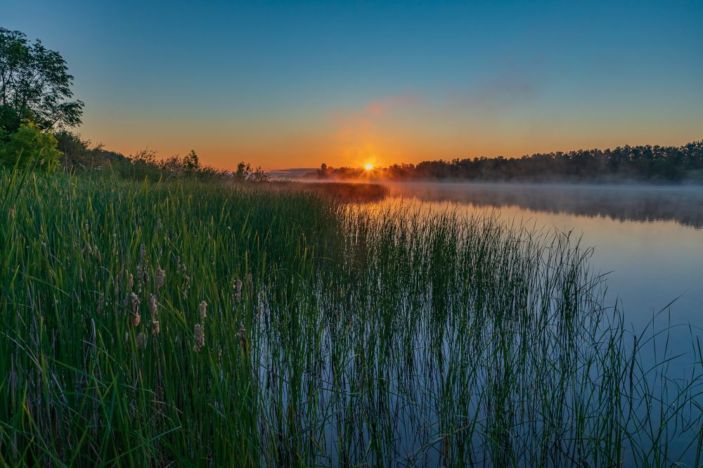 Photograph by Татьяна Гузева