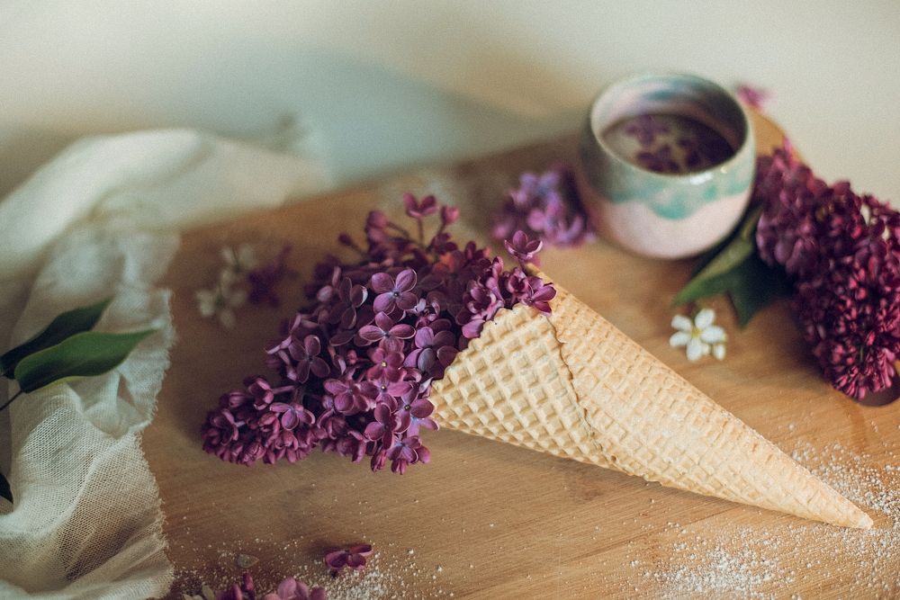 Photograph by Екатерина Реунова