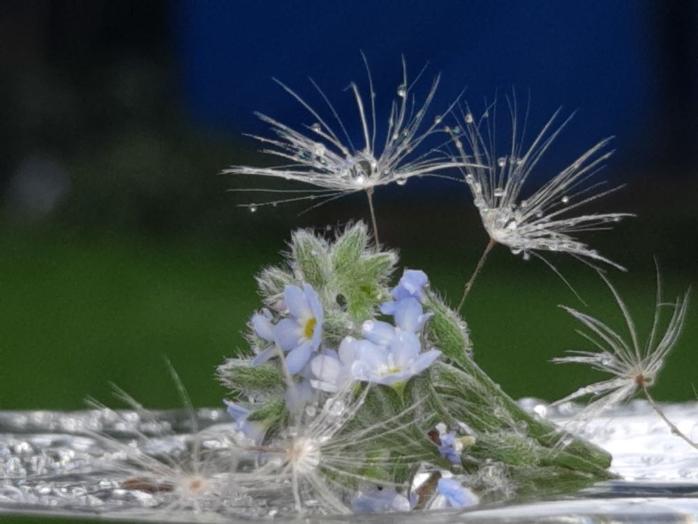 Photograph by Елена