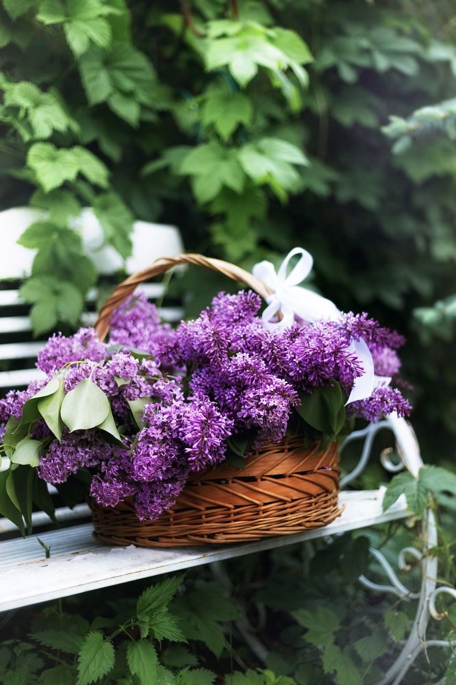 Photograph by Наталия Удачина