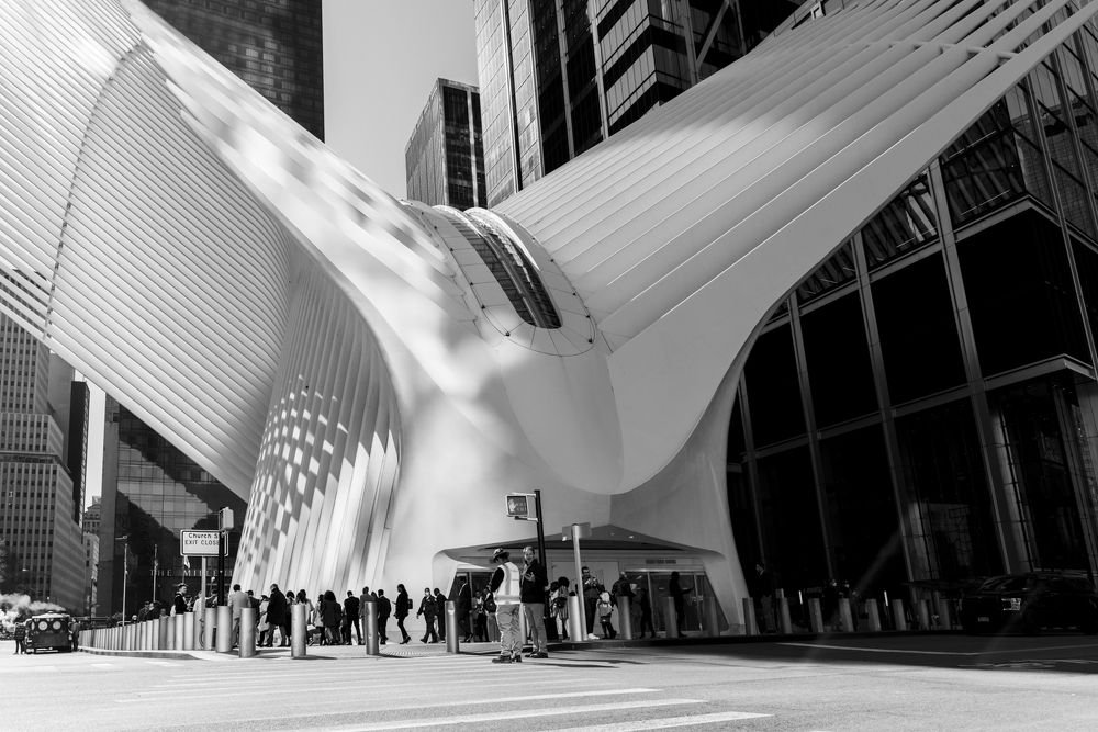 Photograph by weinand de Koster