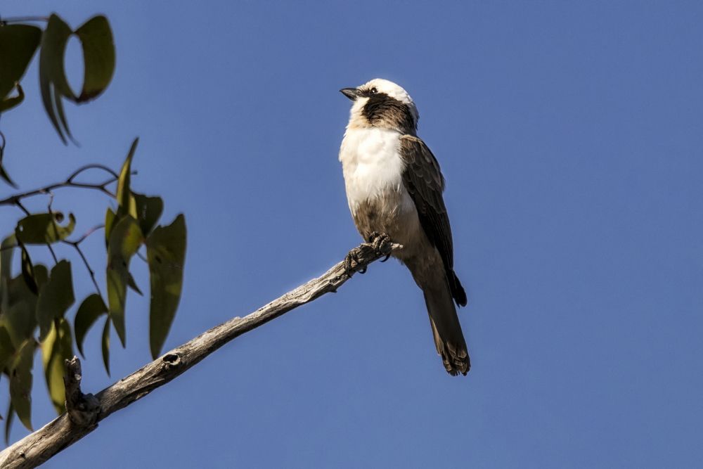 Photograph by Jose Pedrero Barrios