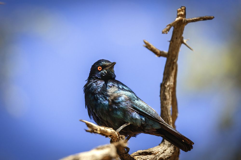 Photograph by Jose Pedrero Barrios