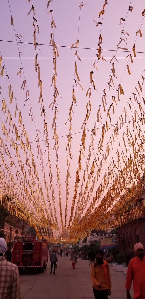 Decorated streets of Amritsar during festival season