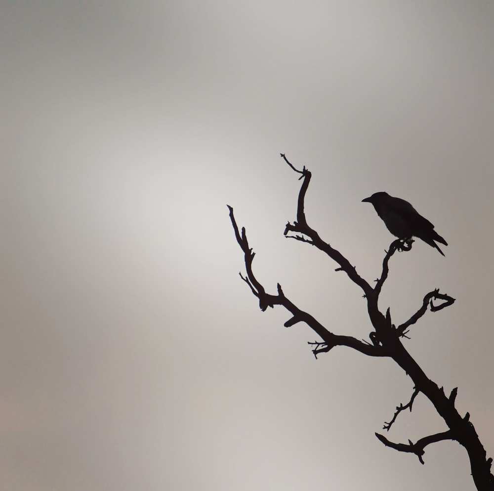 Photograph by Charis Christoforou