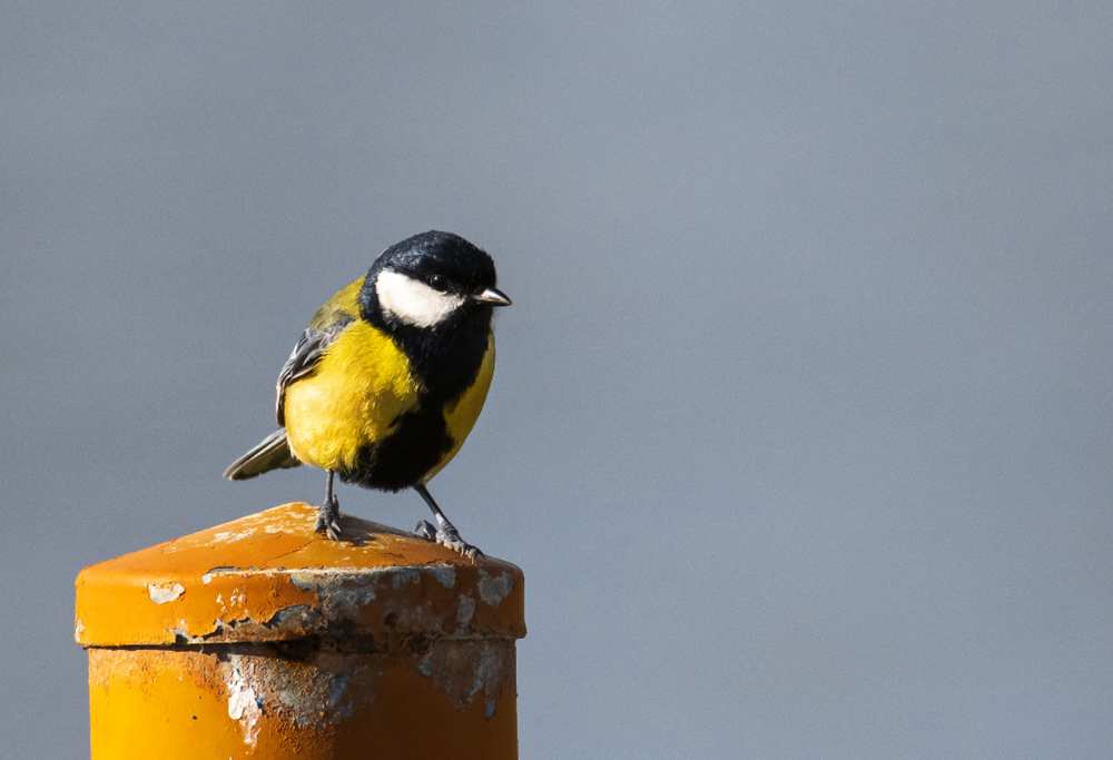 Photograph by Charis Christoforou