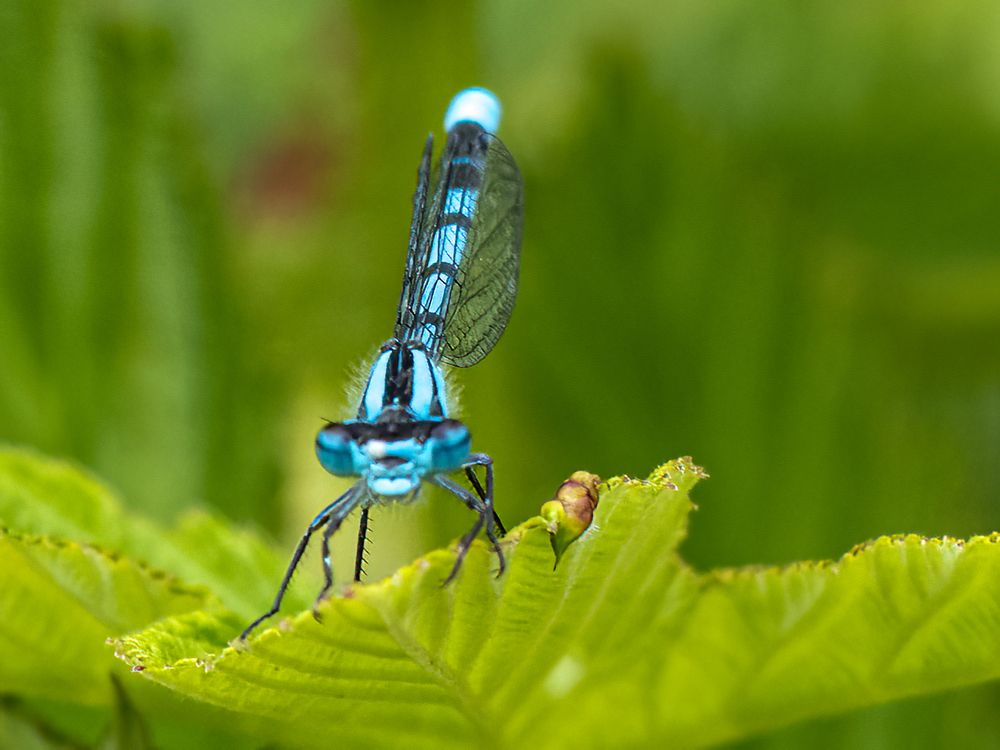 Photograph by Jesse Cason