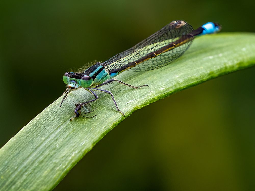 Photograph by Jesse Cason