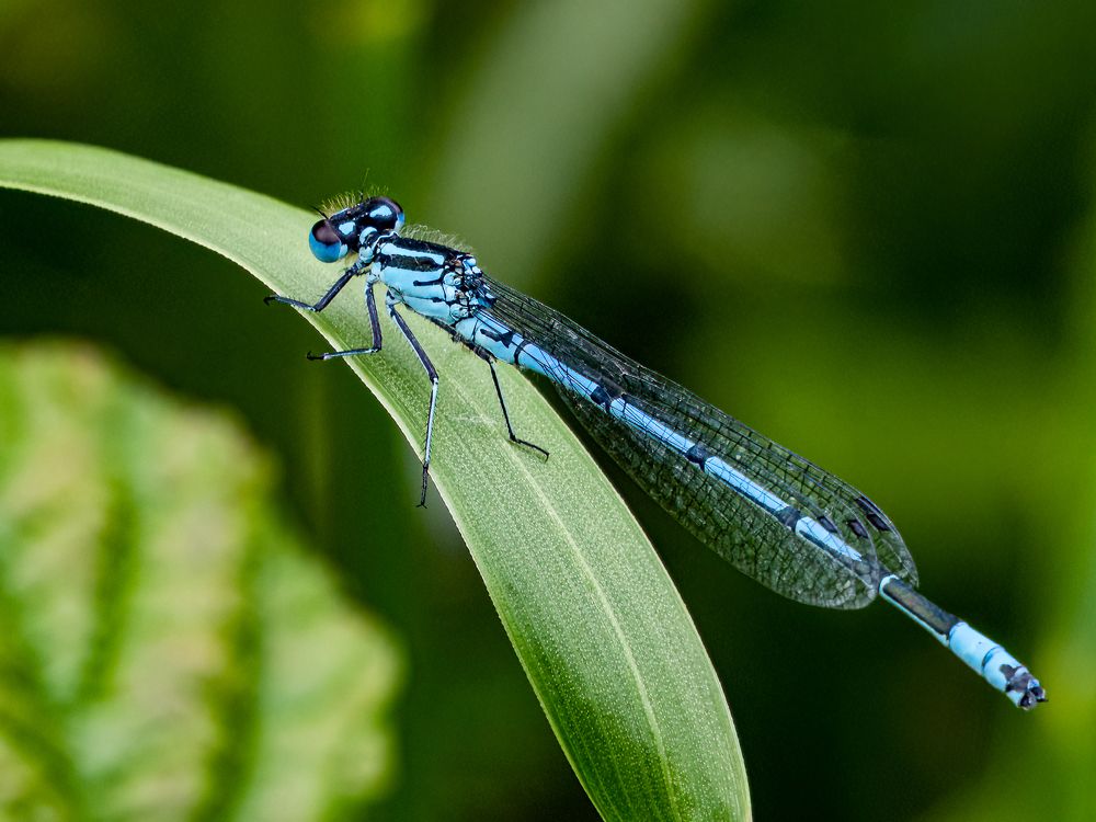 Photograph by Jesse Cason