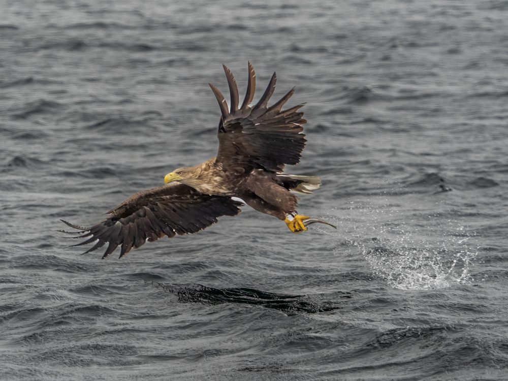 Photograph by Jesse Cason