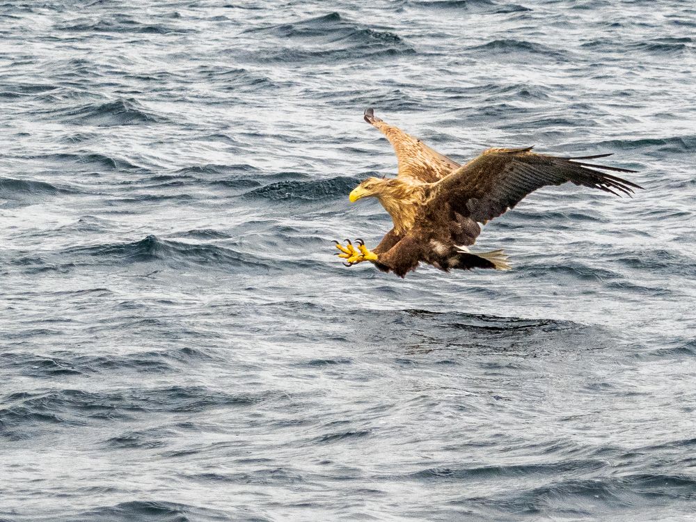 Photograph by Jesse Cason