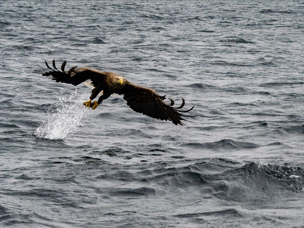 Photograph by Jesse Cason